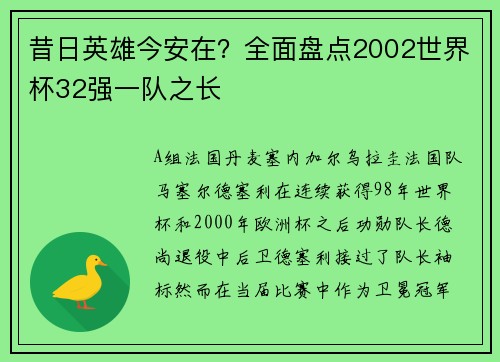 昔日英雄今安在？全面盘点2002世界杯32强一队之长